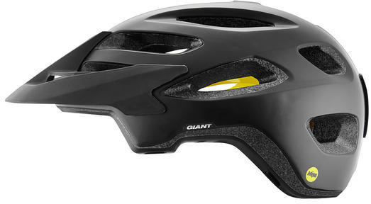 GIANT Roost Helmet - MIPS