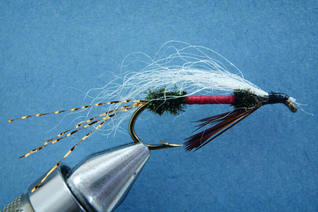 Flashtail Royal Coachman #6