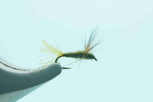 Sparkle Dun Blue Winged Olive #20