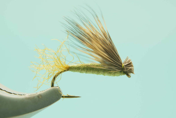 X Caddis Foam Olive #14