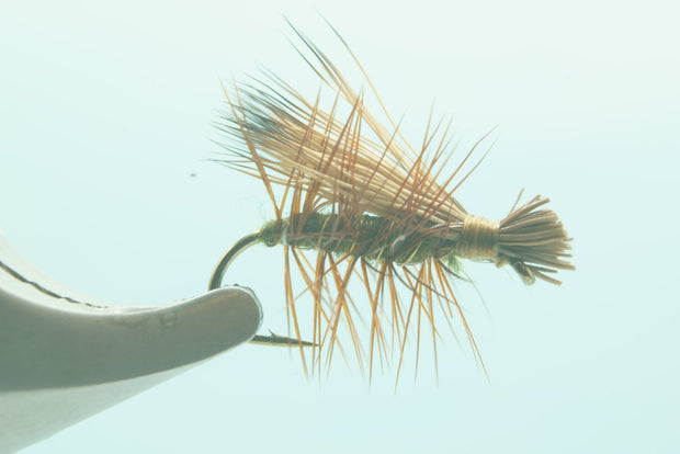 Elk Hair Caddis Olive #14