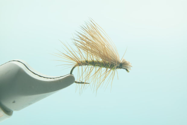 GBFF Elk Hair Caddis Olive #12