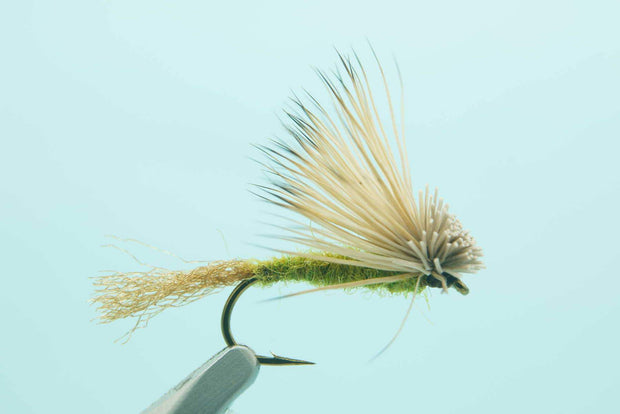 X-Caddis Olive