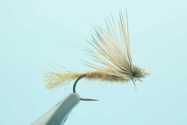 X-Caddis Tan