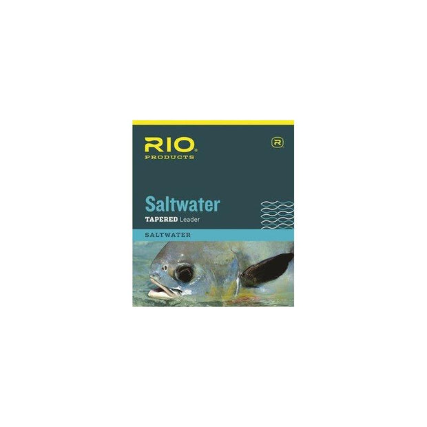 RIO Saltwater Leader - 10ft