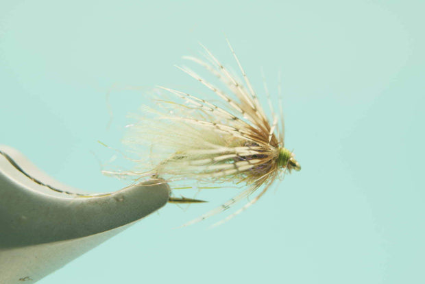 TB Swing Caddis Olive #16