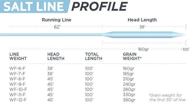 R.L. Winston Energy Salt Fly Line