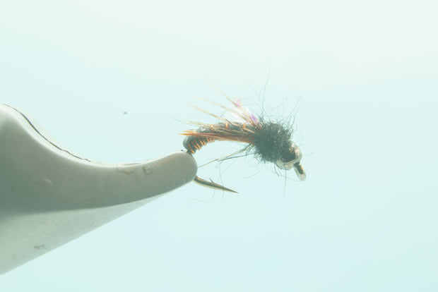 Wired Caddis Amber #16