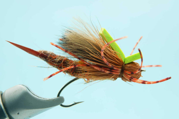 Petite Sirloin Salmonfly #6