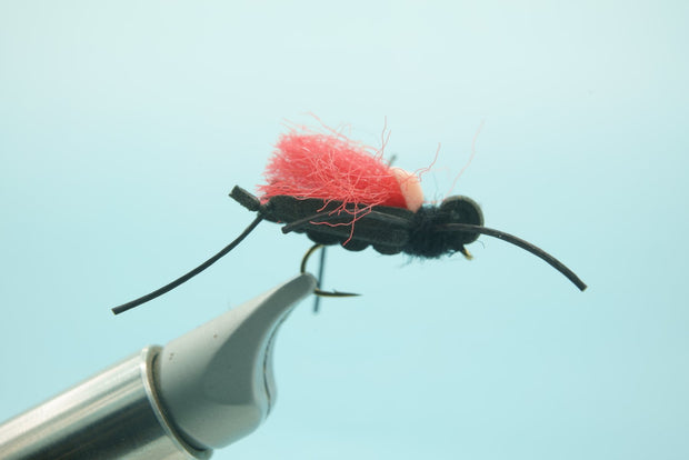 Thunder Thighs Hopper Black #12